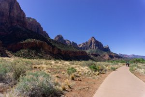 20210428ZionNP_D1015.jpg